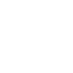 White Checkmark